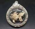 龍普添（距今15年）發(fā)財(cái)魚