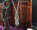 龍婆kloy靈蛇必達