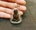 龍婆馬哈蘇拉薩師傅 佛歷2551年第一期草藥必達佛