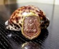 龍婆卡隆2551 好運(yùn)金錢豬自身