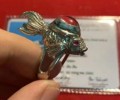 佛歷2505龍?婆塔師?父?的人緣膏?