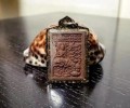 帕阿贊農 2556 周惡天神