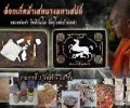 古巴tao 第一期 瓷面 馬食能