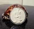 阿贊旁師父佛歷2562粉質(zhì)魯士尊者