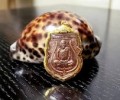 龍婆卡?隆師父佛歷2550金錢?豬?自身