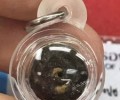 龍婆doo佛歷2532年經(jīng)粉路翁