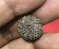 龍婆嬌瓦碰馬來佛寺佛歷2460符管