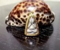 帕阿贊猜2561光頭蚊香小必打